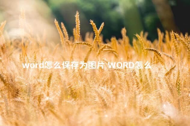 word怎么保存为图片 WORD怎么保存为图片